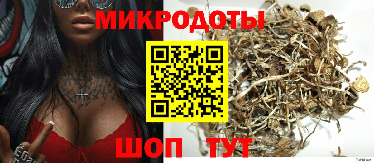 Псилоцибиновые грибы Psilocybine cubensis  Псилоцибиновые грибы мицелий  Новороссийск  Вход с VPN 